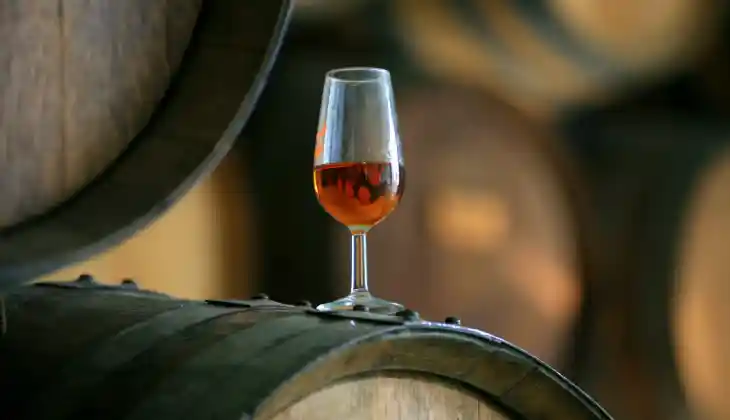 Museos del vino y gastronomicos  